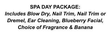 SPA DAY PACKAGE: Includes Blow Dry, Nail Trim, Nail Trim or Dremel, Ear Cleaning, Blueberry Facial, Choice of Fragrance & Banana