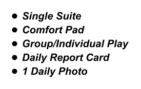 •	Single Suite •	Comfort Pad •	Group/Individual Play •	Daily Report Card •	1 Daily Photo